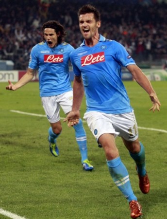 拥有极强的 拥有极强的